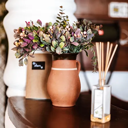 דירה Rafi Vendeghaz *