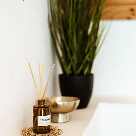 Rafi Vendeghaz בדקסוניטומאי