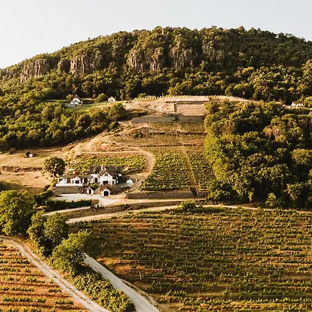 דירה Rafi Vendeghaz *