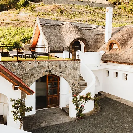 Rafi Vendeghaz 바다초니토마이