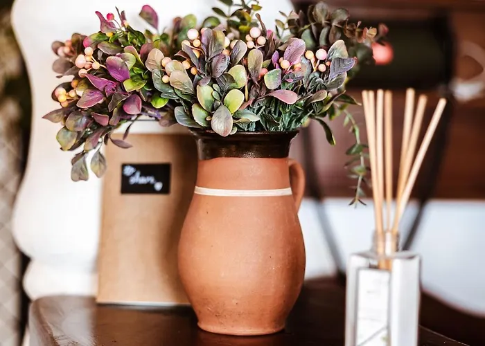 아파트 Rafi Vendeghaz *