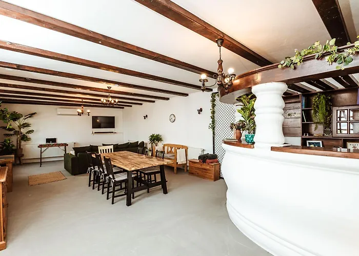 Rafi Vendeghaz * בדקסוניטומאי