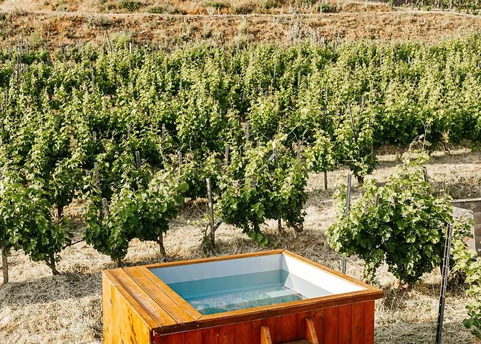 아파트 Rafi Vendeghaz