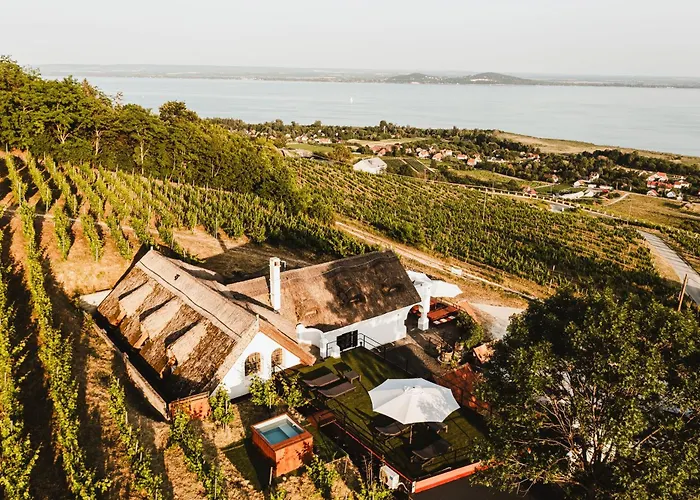 Rafi Vendeghaz * 바다초니토마이