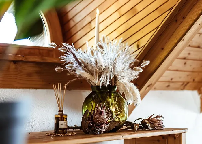 Rafi Vendeghaz * 바다초니토마이