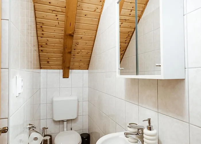 Rafi Vendeghaz בדקסוניטומאי