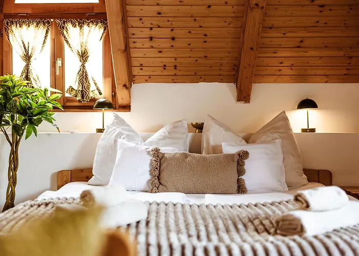 Rafi Vendeghaz 바다초니토마이