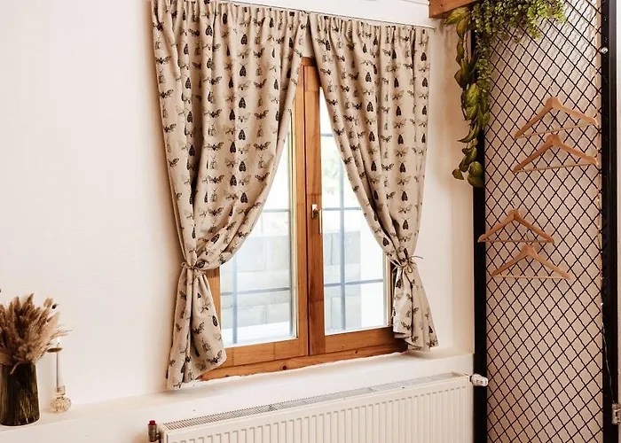 Rafi Vendeghaz * 바다초니토마이