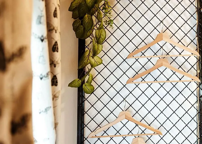 Rafi Vendeghaz * בדקסוניטומאי