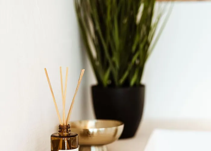 Rafi Vendeghaz 바다초니토마이