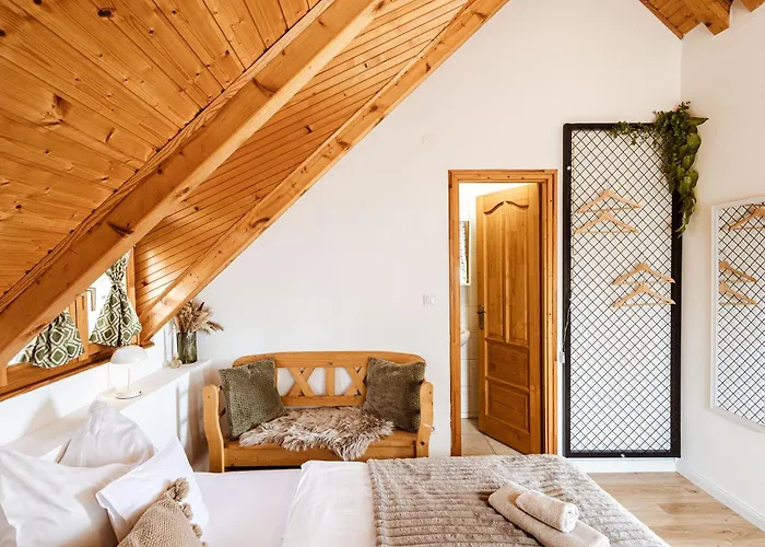 Rafi Vendeghaz * בדקסוניטומאי