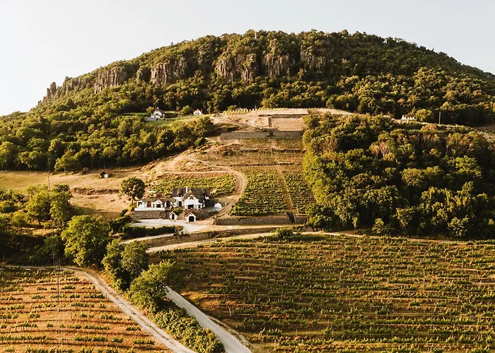 아파트 Rafi Vendeghaz *