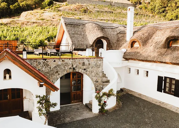 Rafi Vendeghaz בדקסוניטומאי