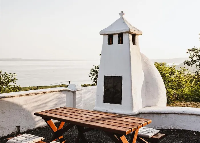 Rafi Vendeghaz בדקסוניטומאי